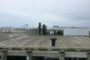 Photo: Boston Harbor Islands SP