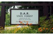 Photo: DAR State Forest