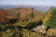 Photo: Mt. Greylock State Reservation