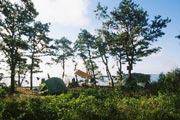 Photo: Waquoit Bay Nat. Estuarine Res