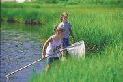 Photo: Waquoit Bay Nat. Estuarine Res