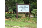 Photo: Dean Pond Recreation Area