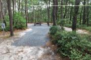 Photo: Wellfleet Hollow State Campground